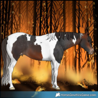 Horse Color:Bay Tobiano Varnish 