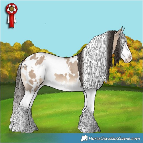 Horse Color:White Spotted Liver Red Dun Splash Appaloosa 
