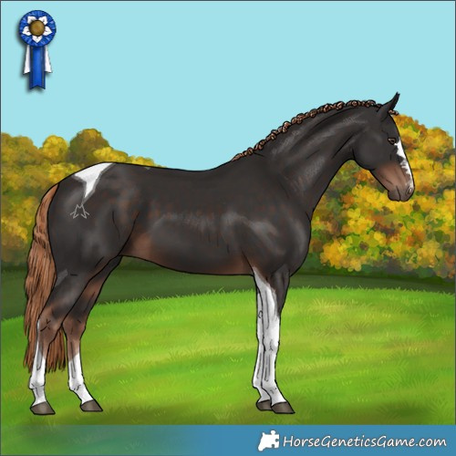Horse Color:Liver Chestnut Tobiano 