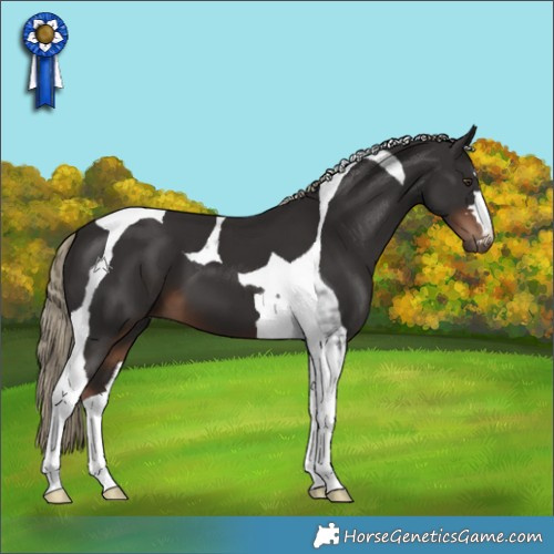 Horse Color:Liver Chestnut Tobiano 