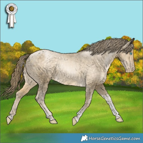 Horse Color:Buckskin Pearl Tobiano Appaloosa 