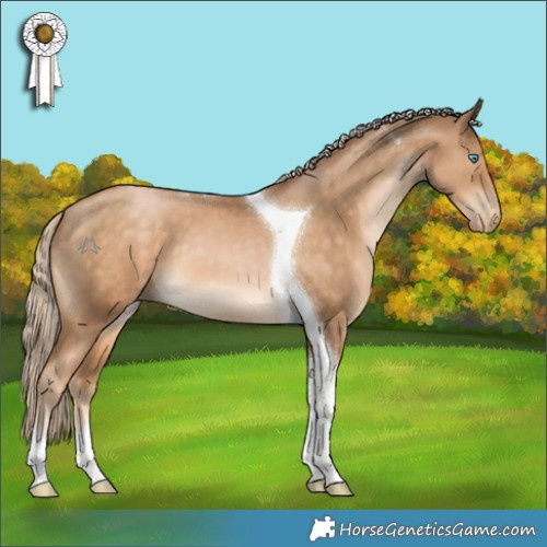 Horse Color:Chocolate Palomino Pearl Tobiano 