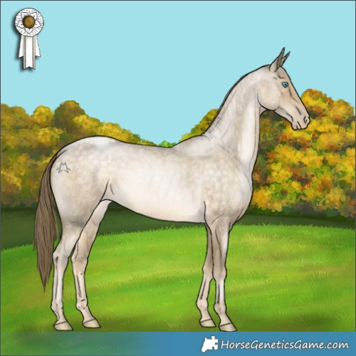 Horse Color:Buckskin Roan Pearl 