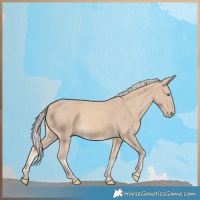 Horse Color:White Spotted Cremello 