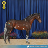 Horse Color:White Spotted Silver Brown Tobiano 