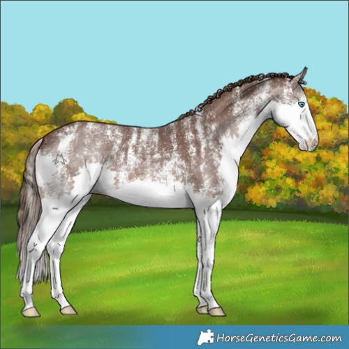 Horse Color:Powder White White Spotted Liver Chestnut Splash 
