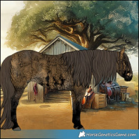 Horse Color:Void Buckskin Ice Sabino 