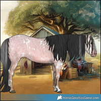 Horse Color:White Spotted Brown Ice Dun 