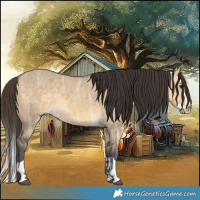 Horse Color:Buckskin Ice Dun Splash 