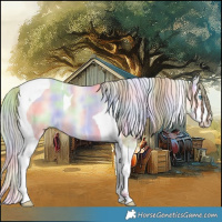 Horse Color:Nacre Perlino Ice Dun Splash Tobiano 