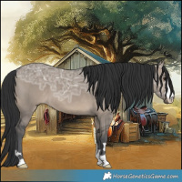 Horse Color:Brown Ice Dun