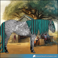 Horse Color:Void Painted Smoky Black Ice Tobiano