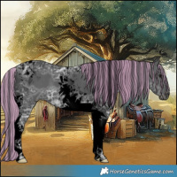 Horse Color:Void Painted Black Ice Tobiano