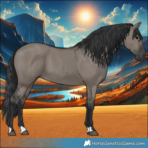 Horse Color:Grullo 