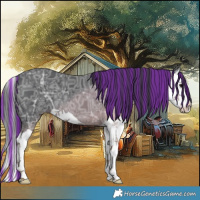 Horse Color:Painted Black Ice Splash 