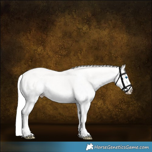 Horse Color:Silver Smoky Creme Sabino Splash Rabicano 