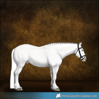 Horse Color:Silver Smoky Creme Sabino Splash Rabicano