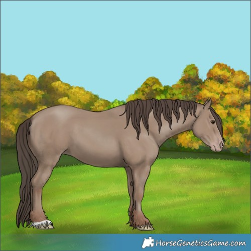 Horse Color:Classic Champagne 