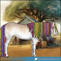 Horse Color:Painted White Spotted Liver Red Dun Onyx 