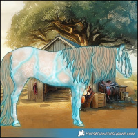 Horse Color:Thunderstruck Gold Champagne Ice Pearl Sabino Rabicano 