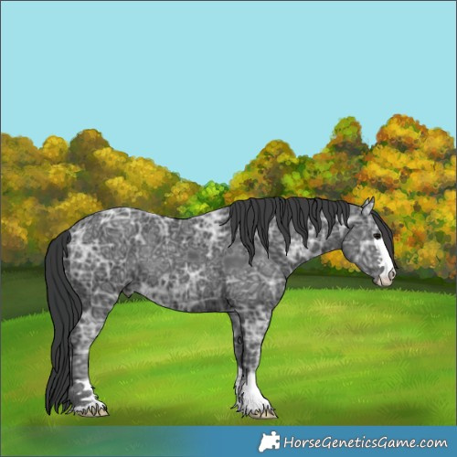 Horse Color:Black Ice 