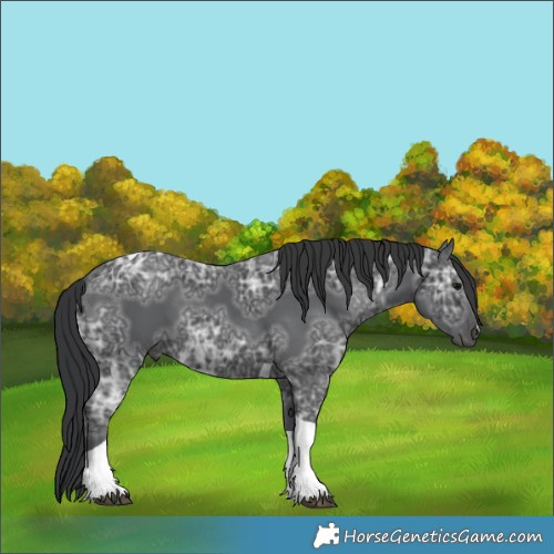 Horse Color:Black Ice Tobiano 