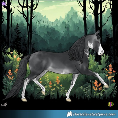 Horse Color:White Spotted Brown Chinchilla 