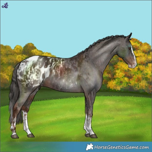 Horse Color:Liver Chestnut Sabino Splash Blanket  and Liver Chestnut Sabino Splash Blanket 