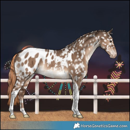 Horse Color:Liver Red Dun Tobiano Blanket Rabicano 