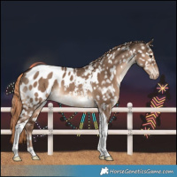 Horse Color:Liver Red Dun Tobiano Blanket Rabicano 