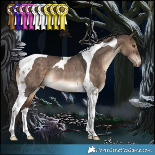 Horse Color:Brown Dun Tobiano Appaloosa Rabicano 