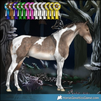 Horse Color:Brown Dun Tobiano Appaloosa Rabicano 