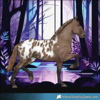 Horse Color:White Spotted Liver Red Dun Appaloosa 