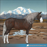 Horse Color:White Spotted Silver Brown 