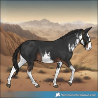 Horse Color:White Spotted Liver Chestnut 
