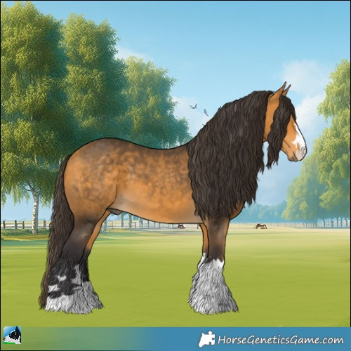 Horse Color:Buckskin 