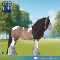Horse Color:Sable Champagne Tobiano Rabicano 