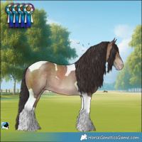 Horse Color:Sable Champagne Tobiano Rabicano 
