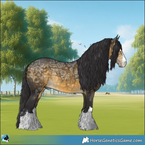 Horse Color:Buckskin Ice Rabicano 