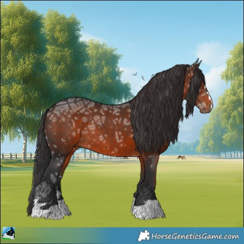Horse Color:Brown Ice Rabicano 