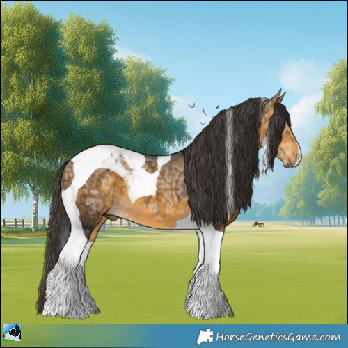 Horse Color:Buckskin Ice Mushroom Tobiano 