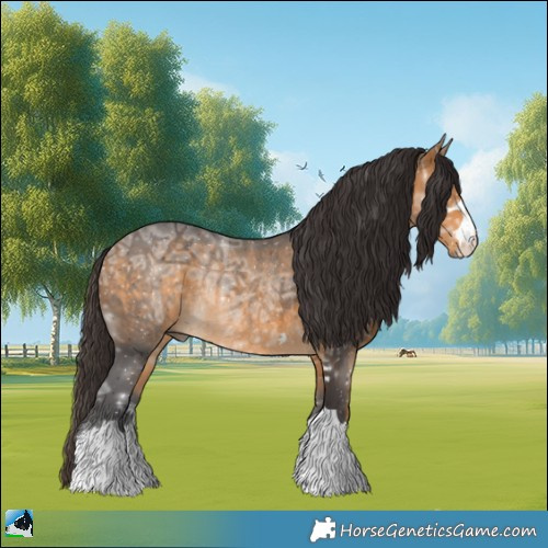 Horse Color:Buckskin Ice Rabicano 
