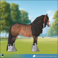 Horse Color:Brown Mushroom Rabicano 