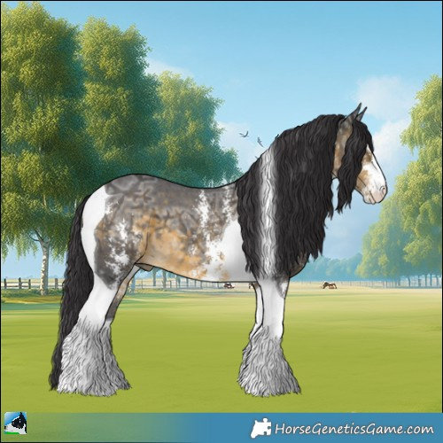 Horse Color:Buckskin Ice Sabino Tobiano 