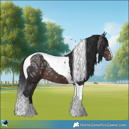 Horse Color:Brown Ice Mushroom Tobiano Rabicano 