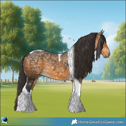 Horse Color:Buckskin Ice Tobiano Rabicano 