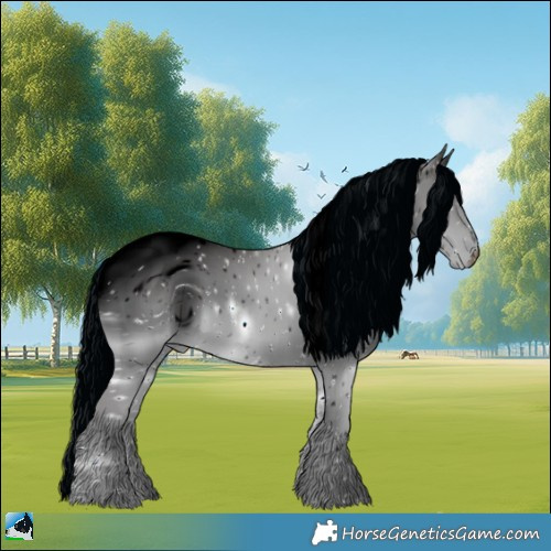 Horse Color:ERROR: UNKNOWN ANOMALY