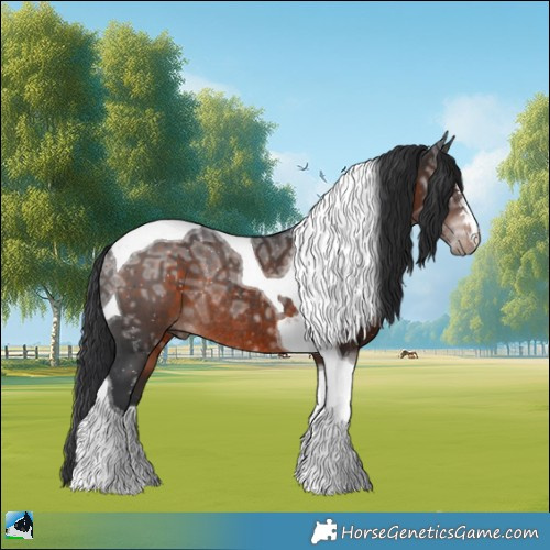 Horse Color:Brown Ice Mushroom Tobiano Rabicano 