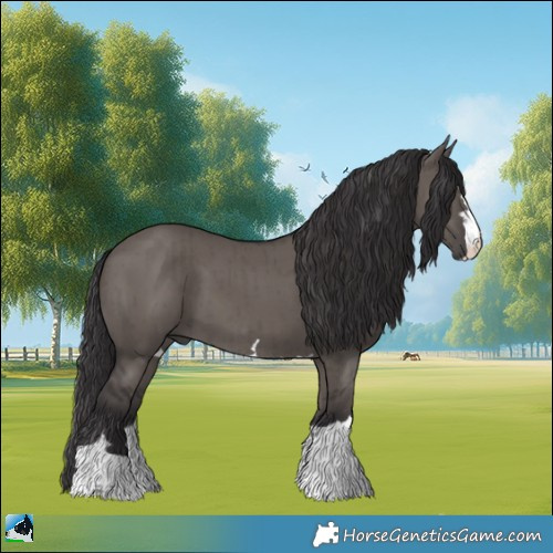 Horse Color:Smoky Grullo Mushroom Brindle 