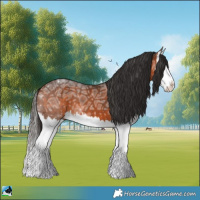 Horse Color:Bay Ice Splash